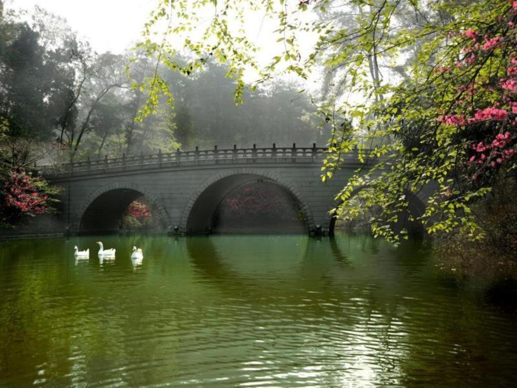 Hongzhushan Hotel Mount Emei Лэшань Экстерьер фото